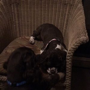 Meet your Posher, Pamela